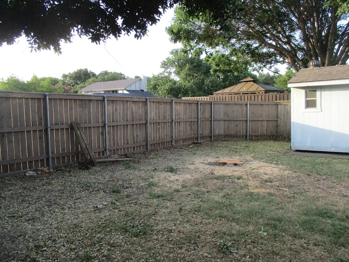 Cleared yard after professional tree removal in Fulks Run